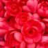 вафельные розы, красные 5 шт