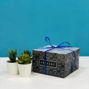 Коробка для капкейка Present, 16 × 16 × 10 см